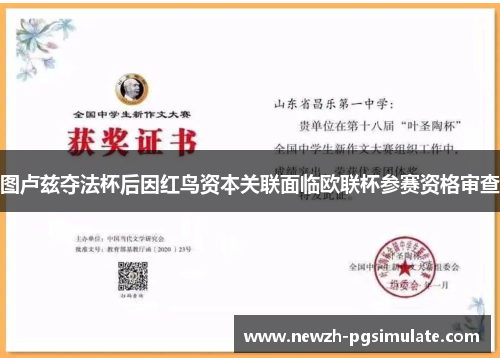 图卢兹夺法杯后因红鸟资本关联面临欧联杯参赛资格审查